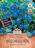 Sperli Büschelschönsamen SPERLI's Bienenfreund 86330 - üppig blühende Wildblume - Inhalt für 250 Pflanzen - Wildblumensamen, Saatgut,...