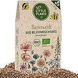 Little Plants Bienenweide - 125g Bio Samen Bienenwiese - Blumenwiese Samen mehrjährig winterhart - Enthält 19 Sorten Wildblumensamen und...