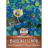 Sperli Büschelschönsamen SPERLI's Bienenfreund 86330 - üppig blühende Wildblume - Inhalt für 250 Pflanzen - Wildblumensamen, Saatgut,...